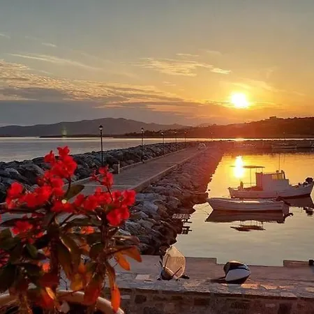 Sea Breeze Paros Apartment Aliki (Paros)