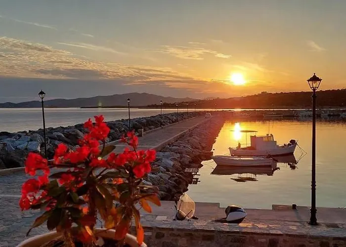 Sea Breeze Paros Διαμέρισμα Αλυκή